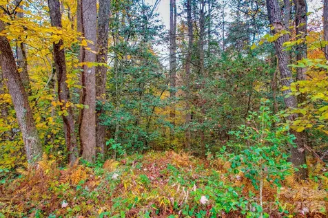 00 Grandin Road Lenoir NC 28645