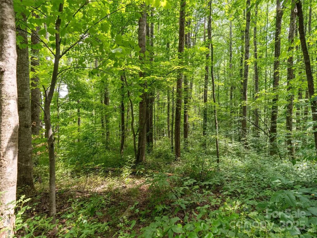 4 Roaring Creek Lane Waynesville NC 28785