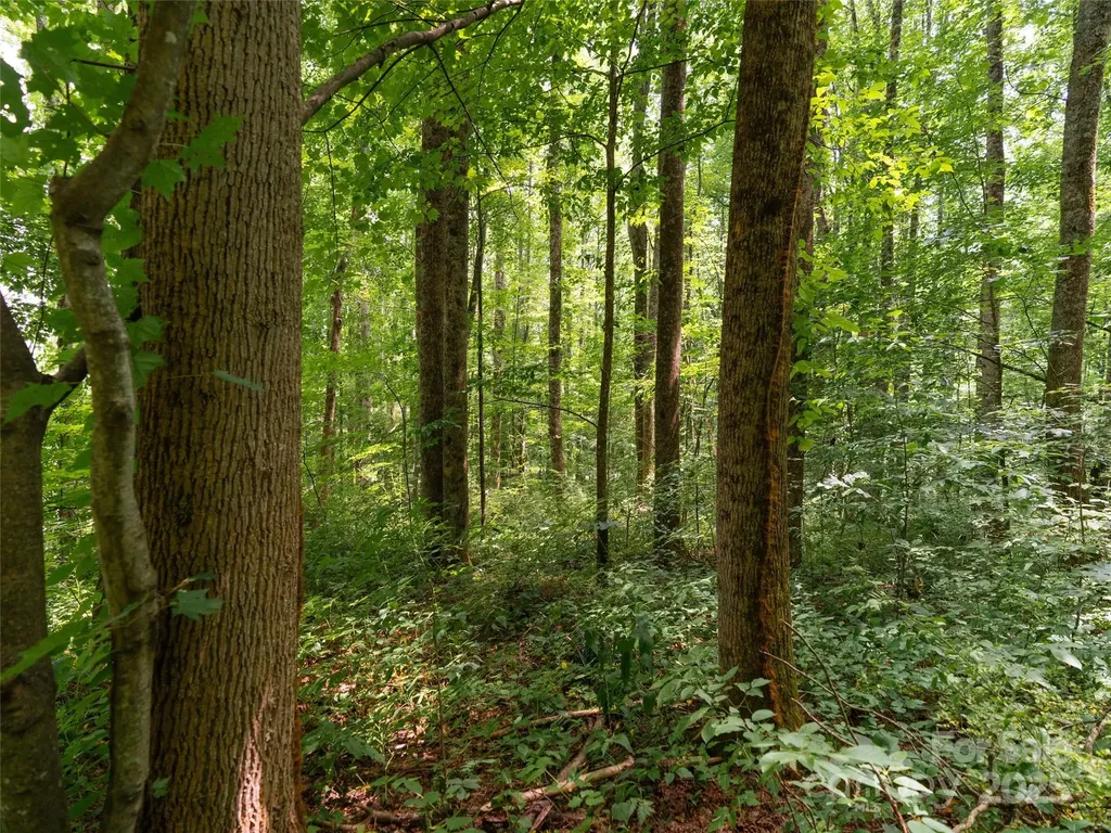 4 Roaring Creek Lane Waynesville NC 28785