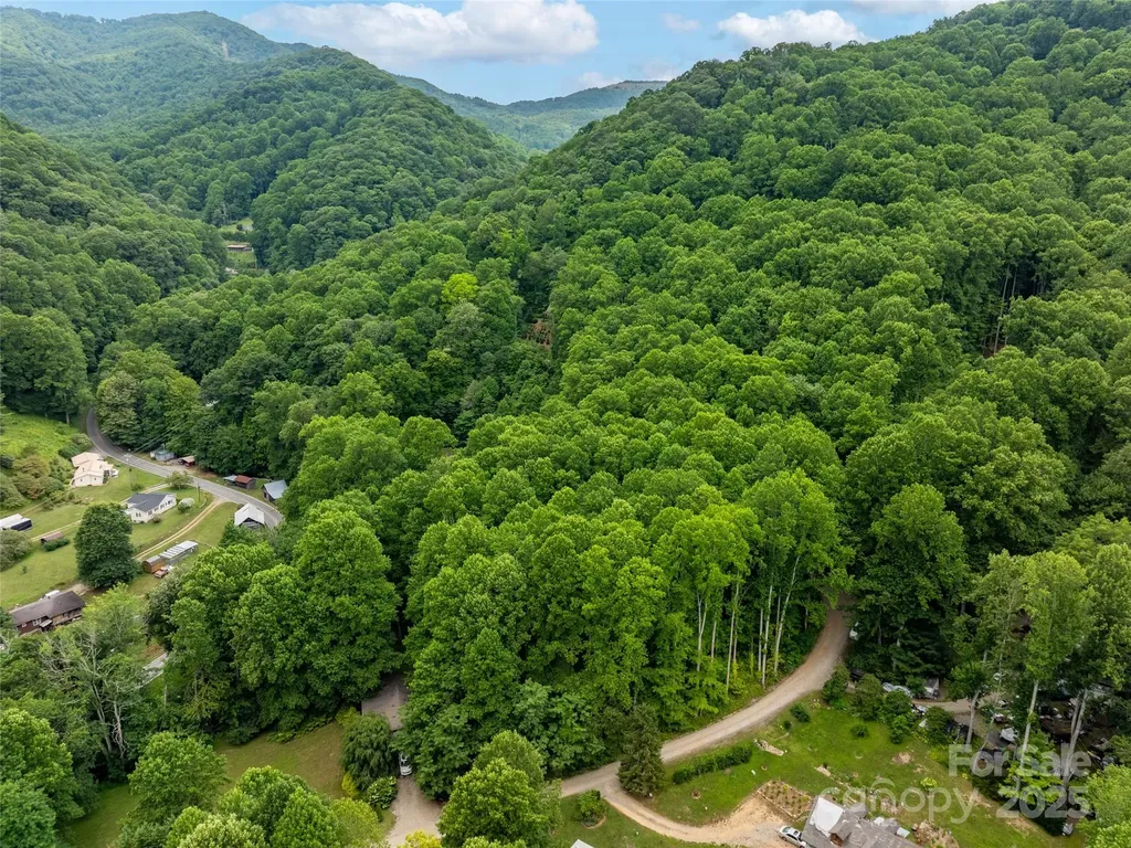 4 Roaring Creek Lane Waynesville NC 28785