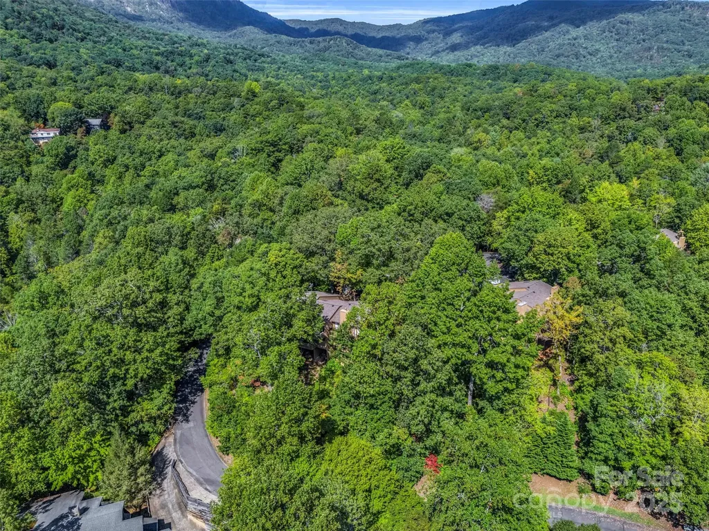 155 Quail Cove Road Lake Lure NC 28746