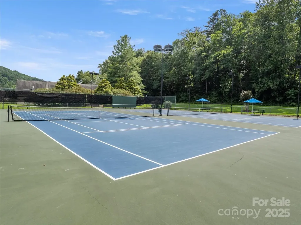 155 Quail Cove Road Lake Lure NC 28746