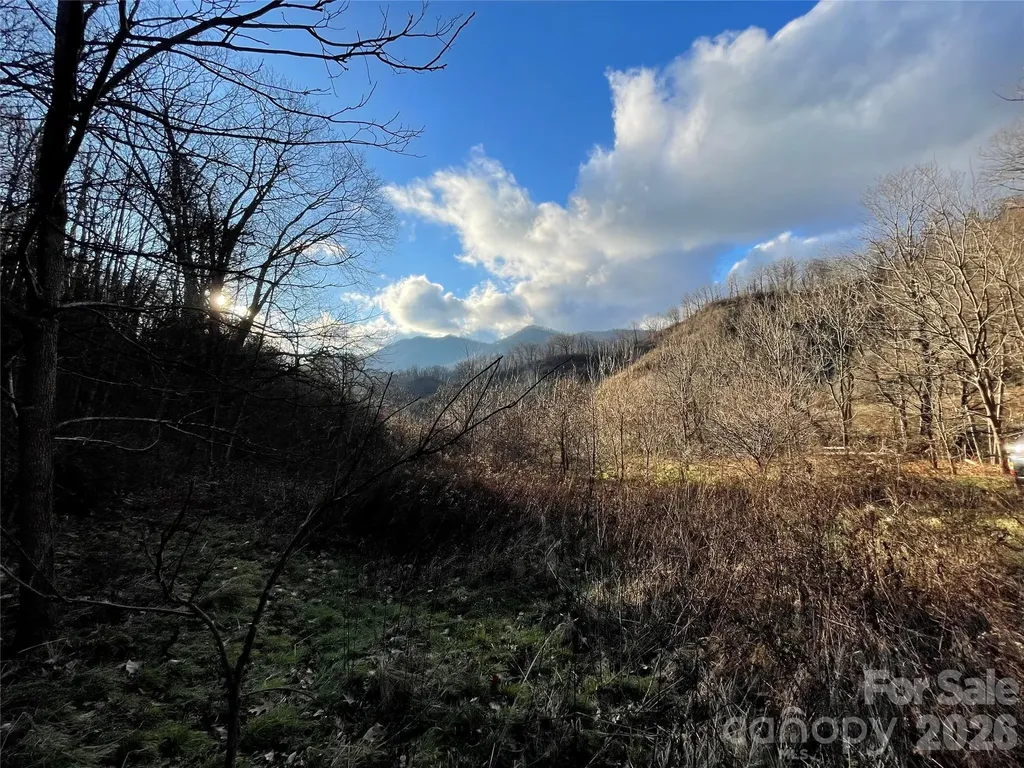 00 Wilson Cove Road Canton NC 28716