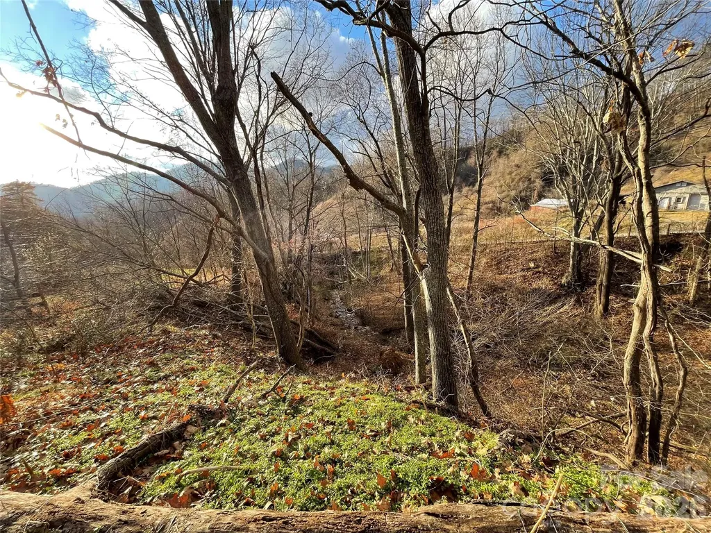00 Wilson Cove Road Canton NC 28716