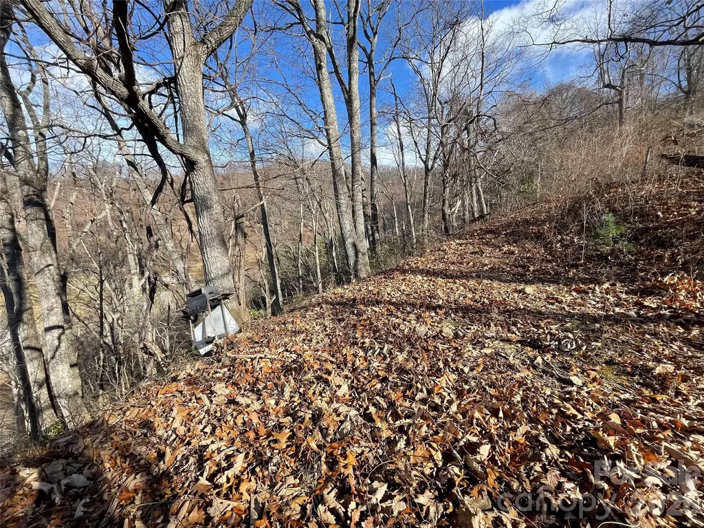 00 Wilson Cove Road Canton NC 28716