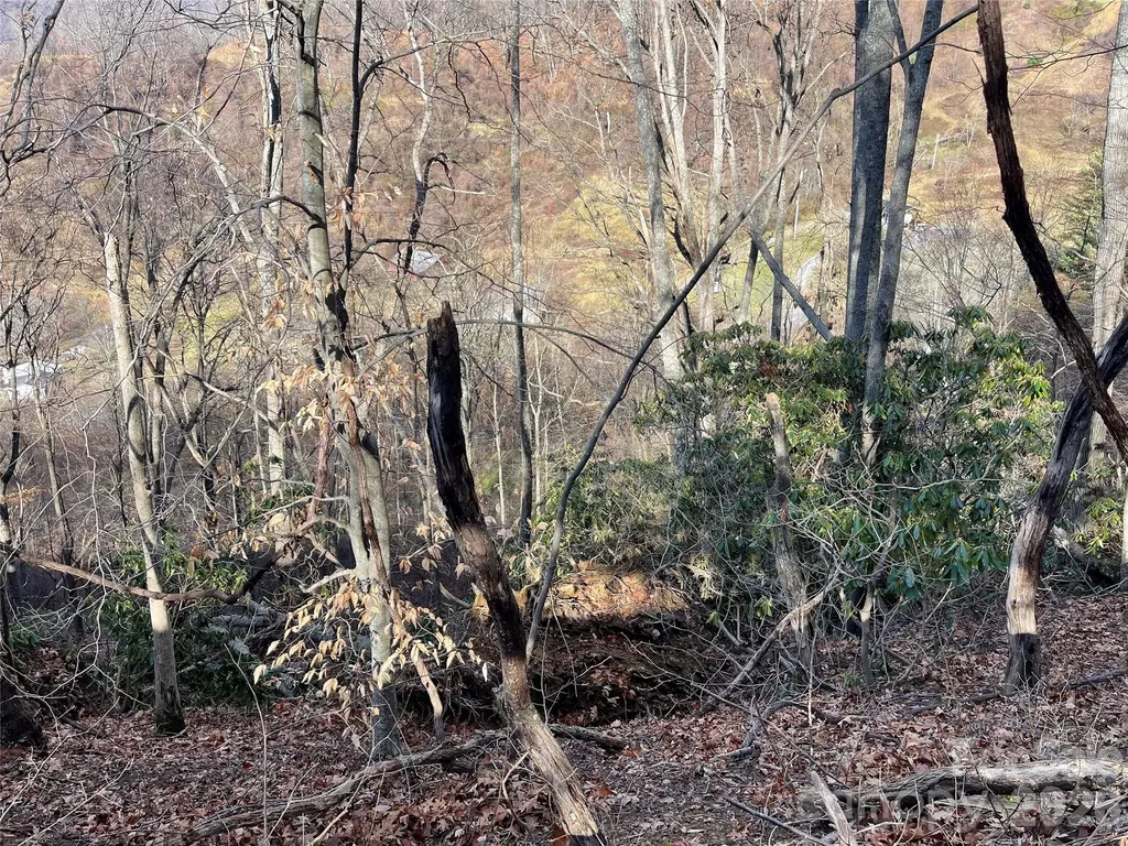 00 Wilson Cove Road Canton NC 28716