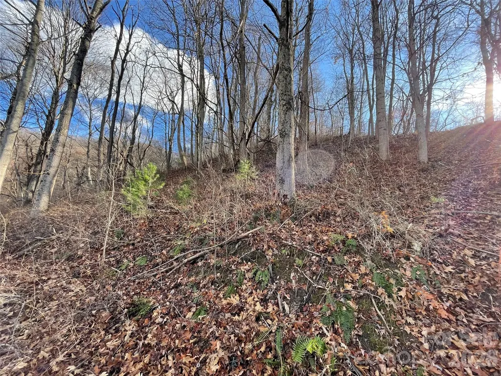 00 Wilson Cove Road Canton NC 28716