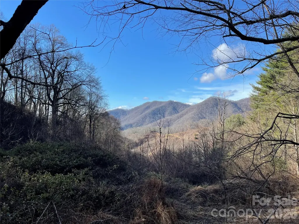 00 Wilson Cove Road Canton NC 28716