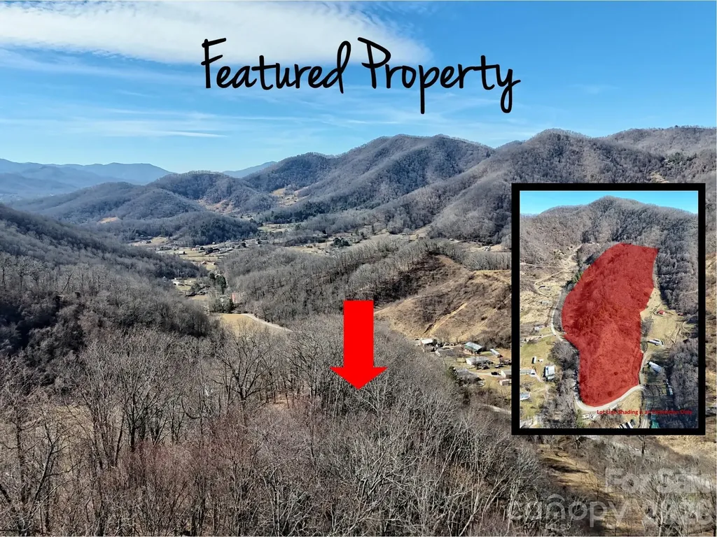 00 Wilson Cove Road Canton NC 28716