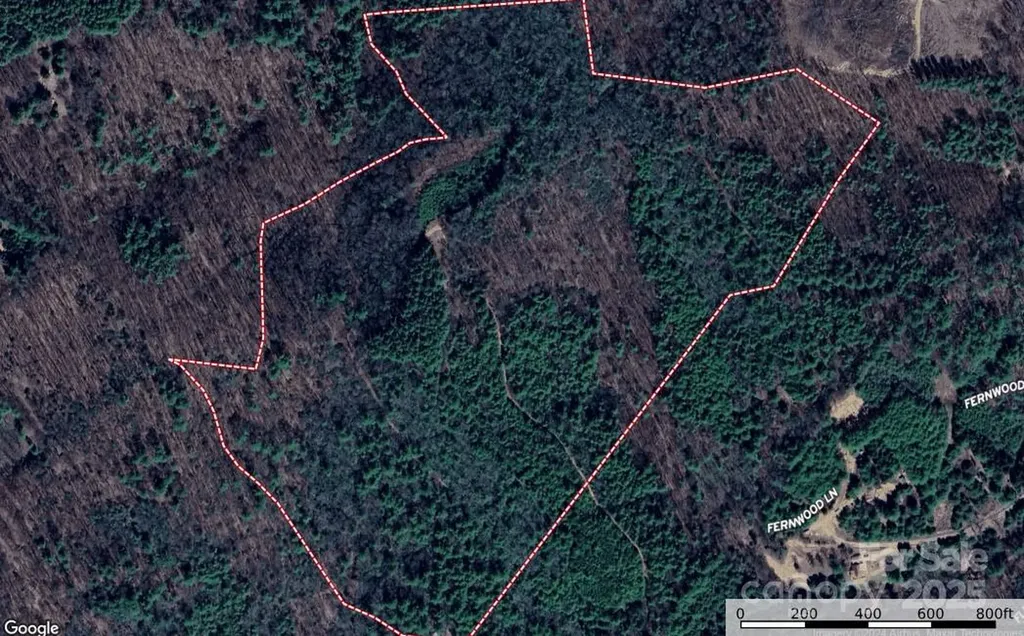 Tbd Maines Hill Lane Scottville NC 28663