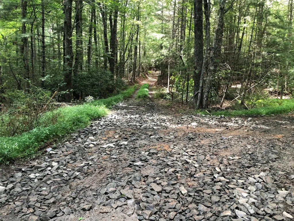 Tbd Maines Hill Lane Scottville NC 28663