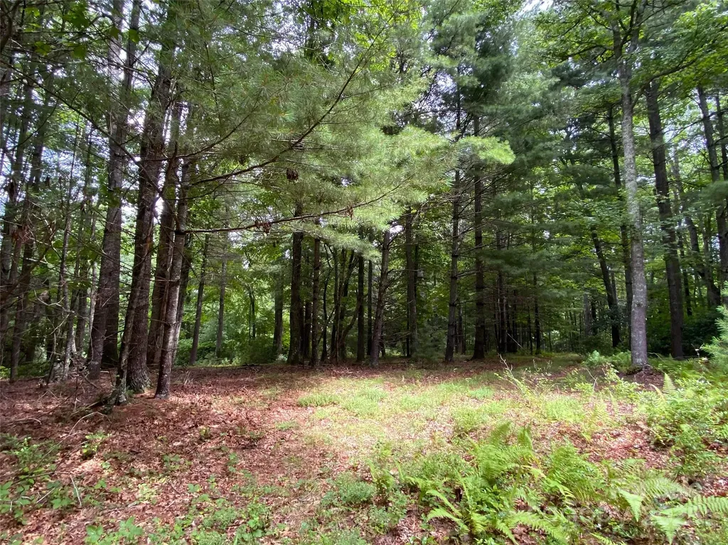 Tbd Maines Hill Lane Scottville NC 28663