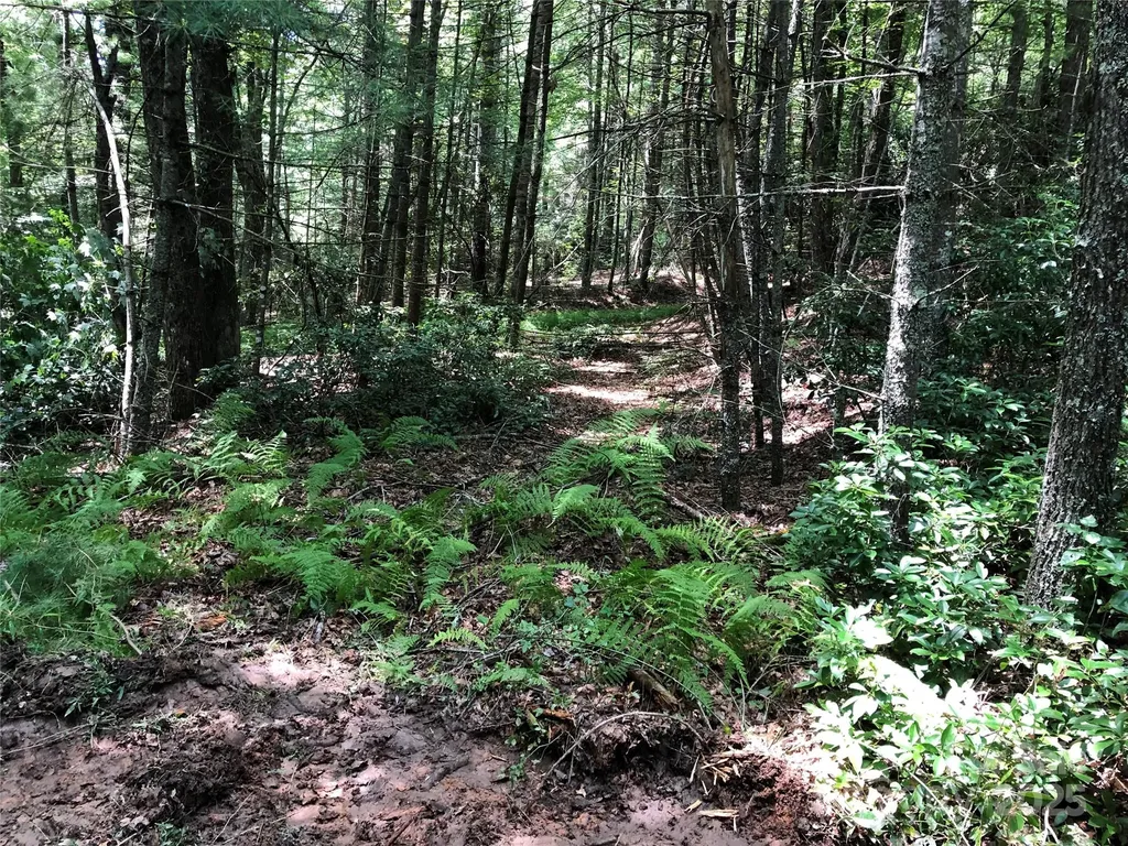 Tbd Maines Hill Lane Scottville NC 28663