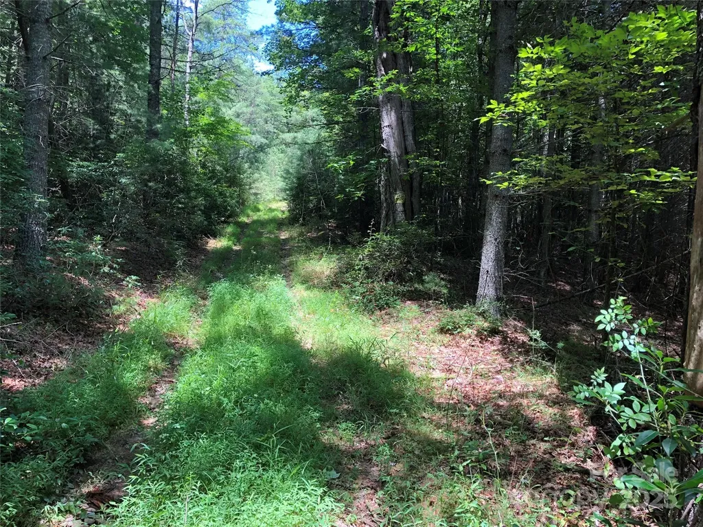 Tbd Maines Hill Lane Scottville NC 28663