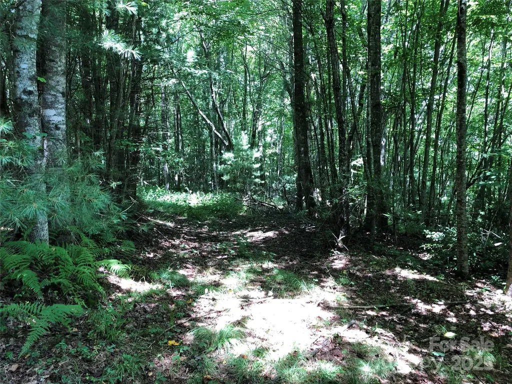 Tbd Maines Hill Lane Scottville NC 28663