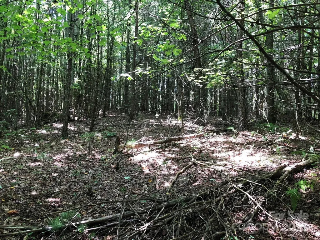 Tbd Maines Hill Lane Scottville NC 28663