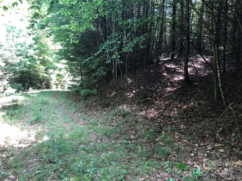 Tbd Maines Hill Lane Scottville NC 28663