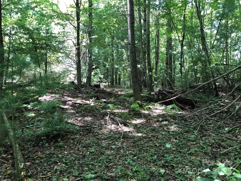 Tbd Maines Hill Lane Scottville NC 28663