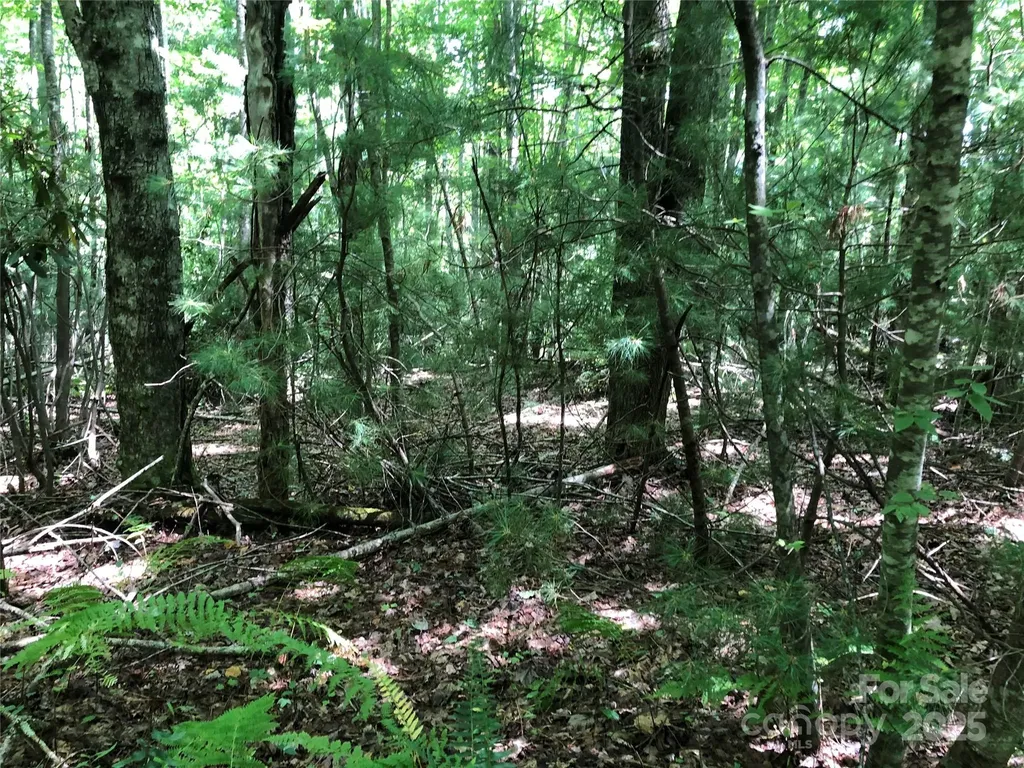 Tbd Maines Hill Lane Scottville NC 28663