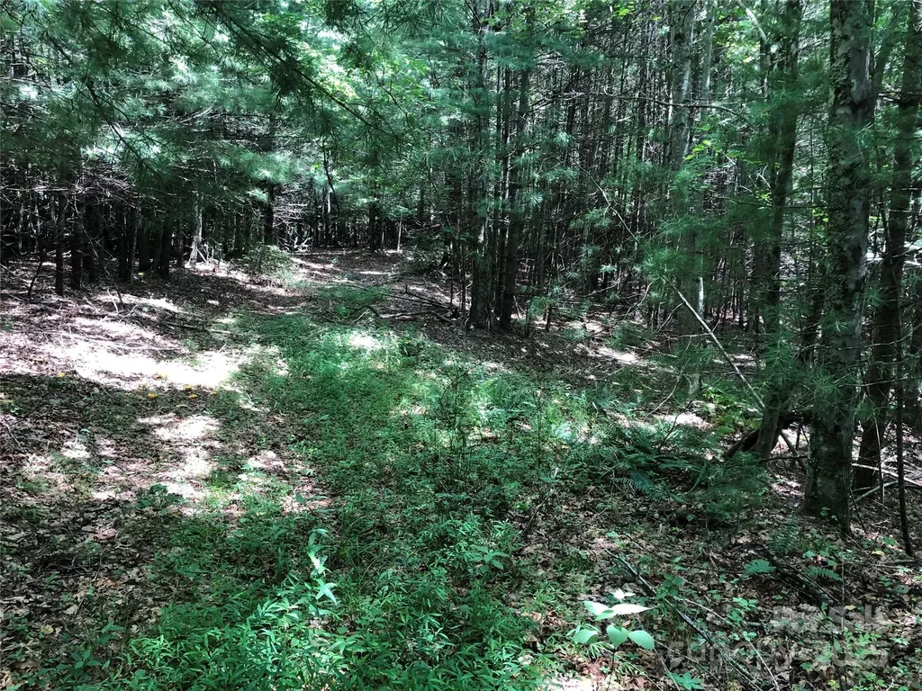 Tbd Maines Hill Lane Scottville NC 28663