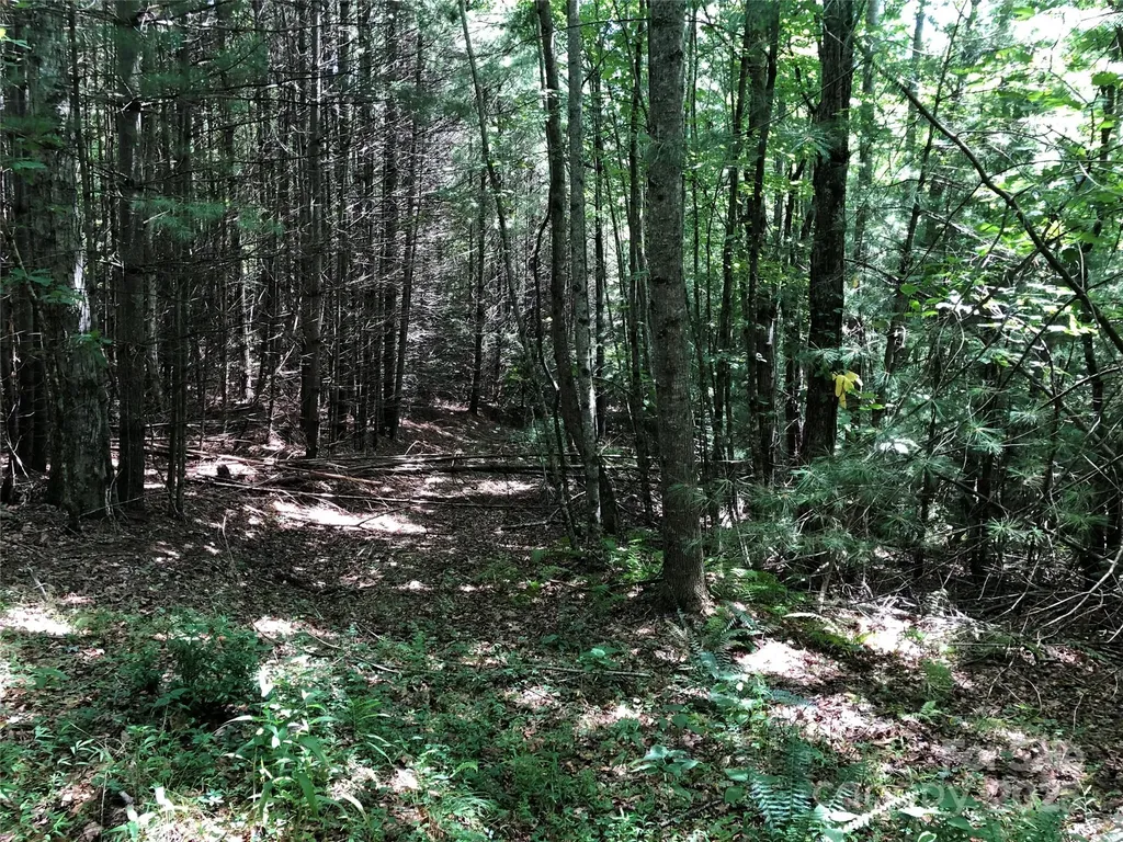 Tbd Maines Hill Lane Scottville NC 28663