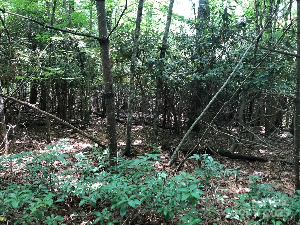 Tbd Maines Hill Lane Scottville NC 28663