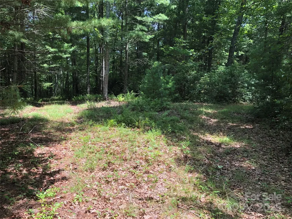 Tbd Maines Hill Lane Scottville NC 28663
