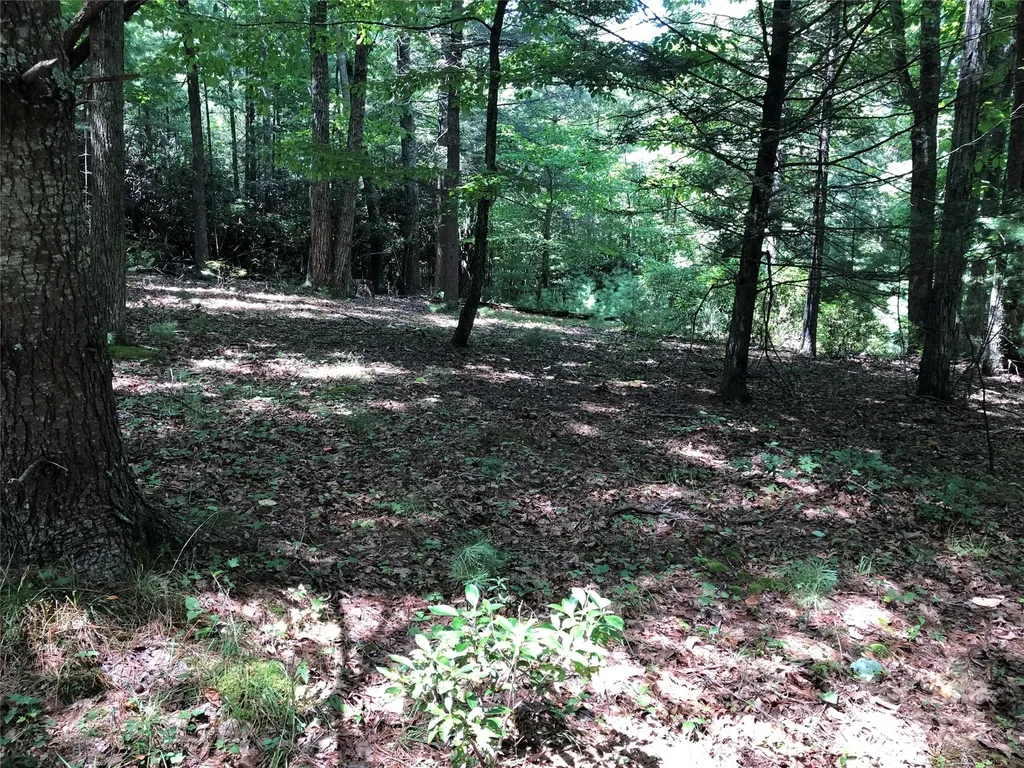 Tbd Maines Hill Lane Scottville NC 28663