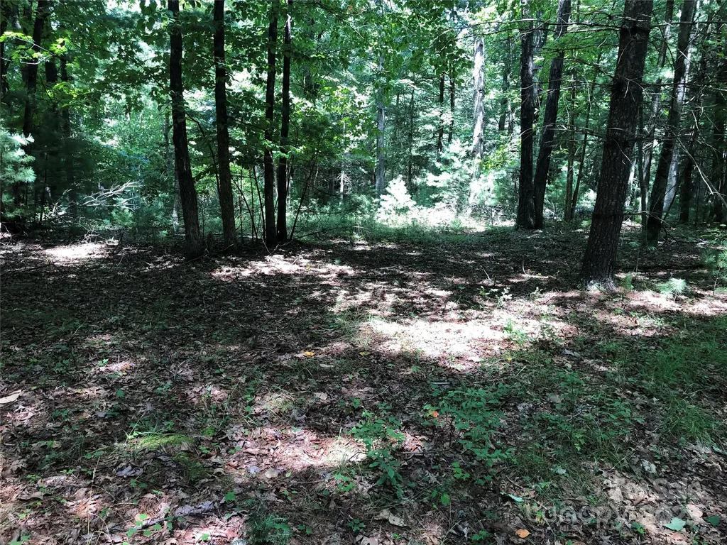 Tbd Maines Hill Lane Scottville NC 28663