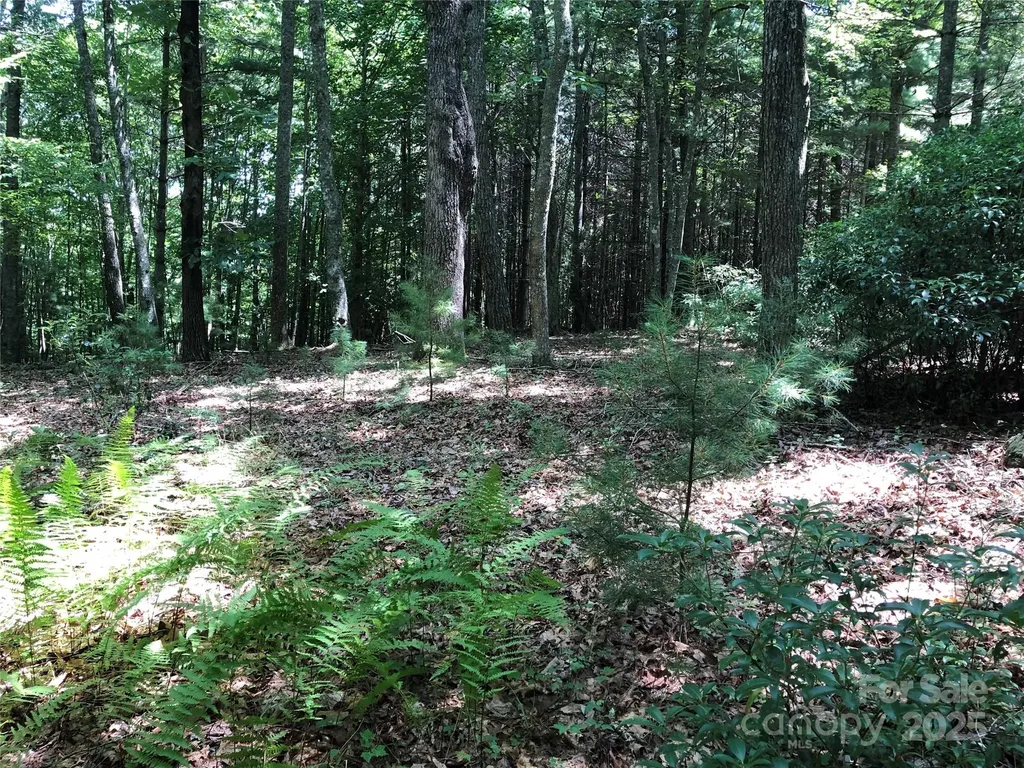 Tbd Maines Hill Lane Scottville NC 28663