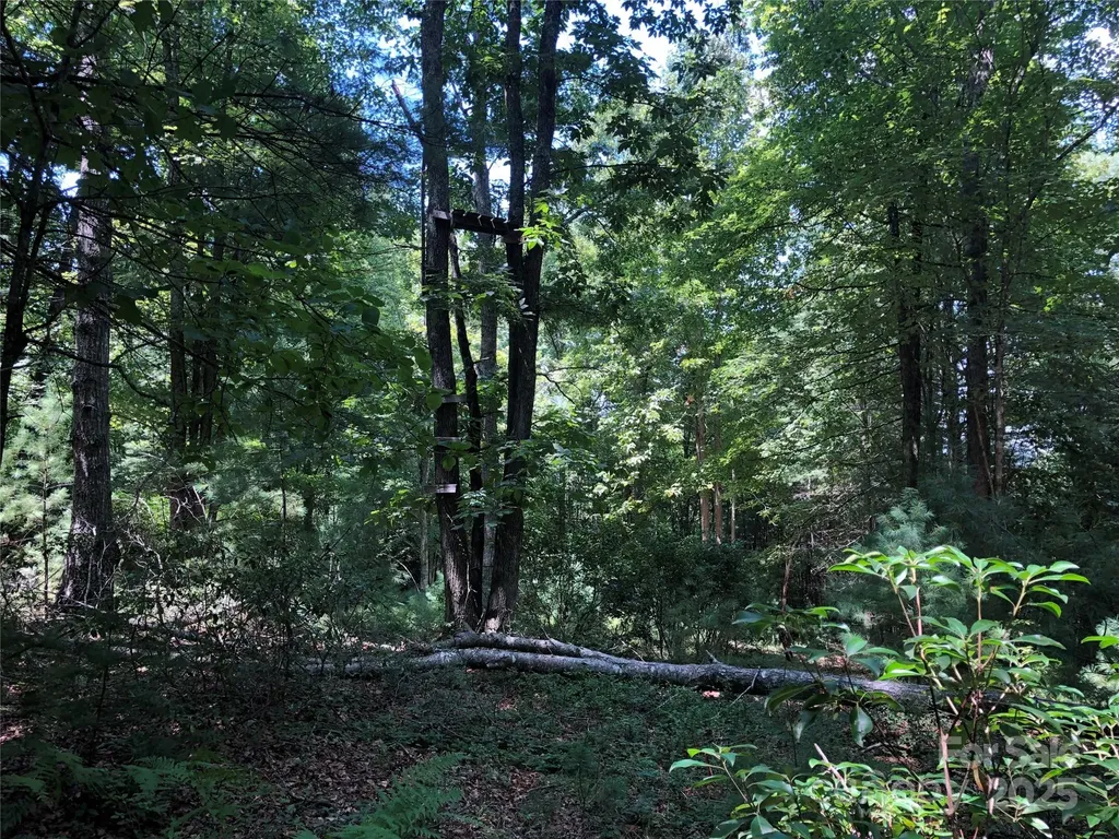 Tbd Maines Hill Lane Scottville NC 28663