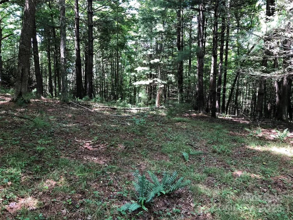 Tbd Maines Hill Lane Scottville NC 28663