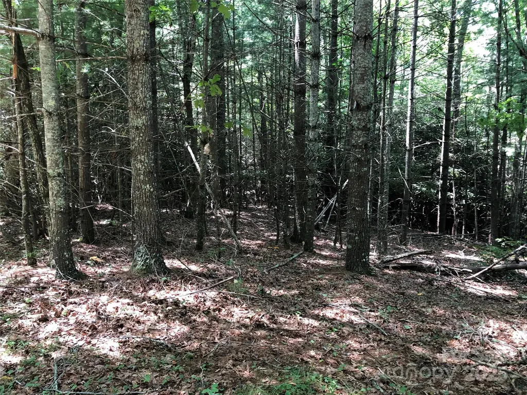 Tbd Maines Hill Lane Scottville NC 28663