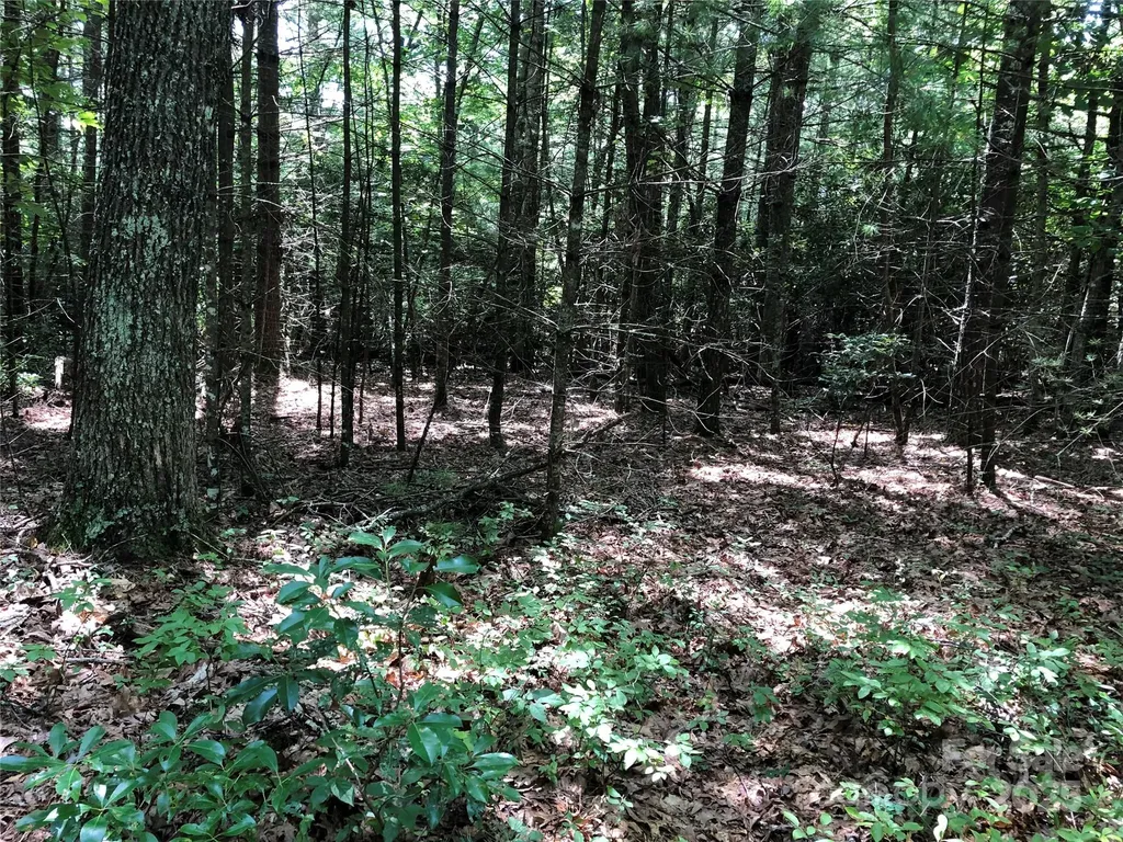 Tbd Maines Hill Lane Scottville NC 28663