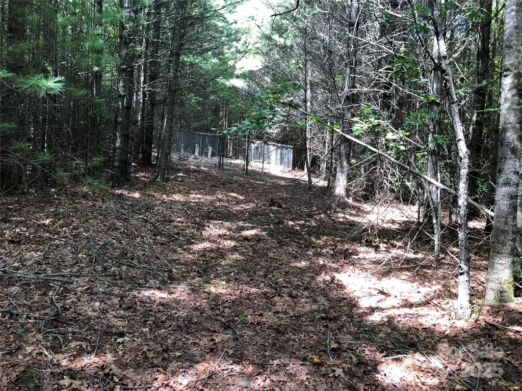 Tbd Maines Hill Lane Scottville NC 28663