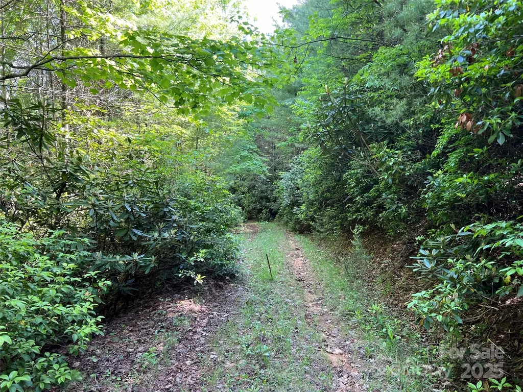 Tbd Maines Hill Lane Scottville NC 28663