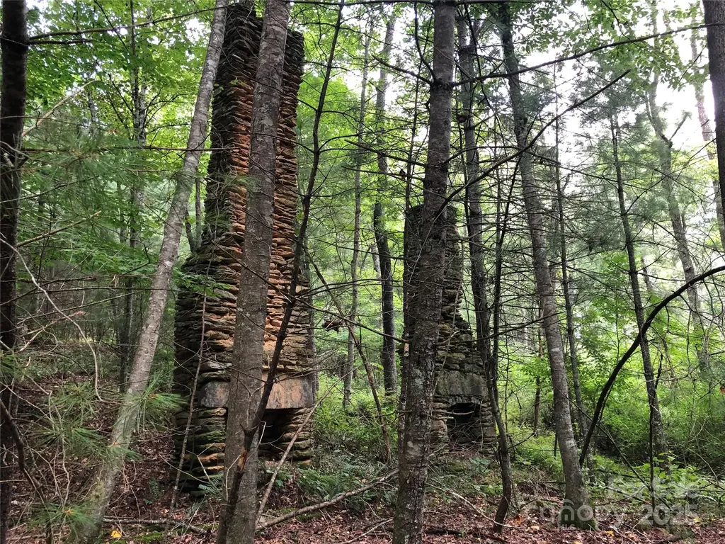 Tbd Maines Hill Lane Scottville NC 28663