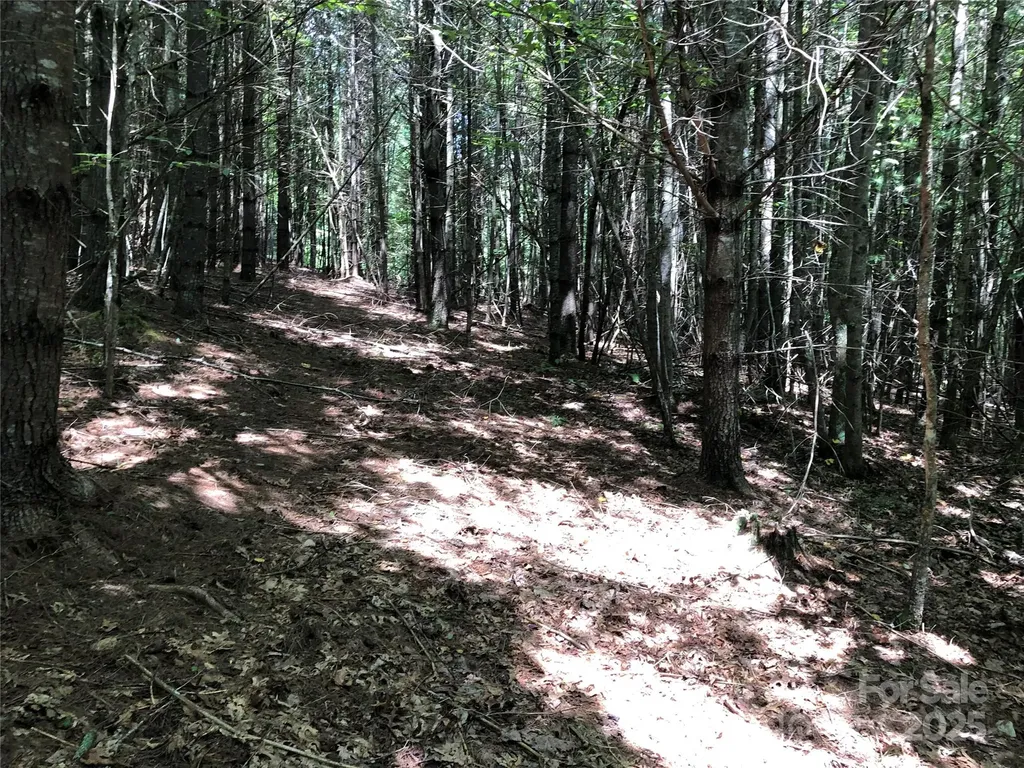 Tbd Maines Hill Lane Scottville NC 28663