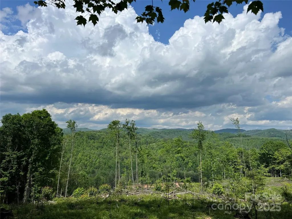 Tbd Maines Hill Lane Scottville NC 28663