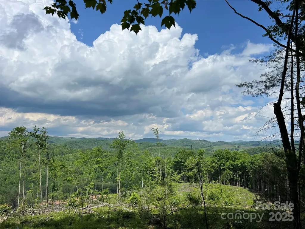 Tbd Maines Hill Lane Scottville NC 28663