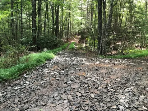 Tbd Maines Hill Lane Scottville NC 28663