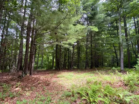 Tbd Maines Hill Lane Scottville NC 28663