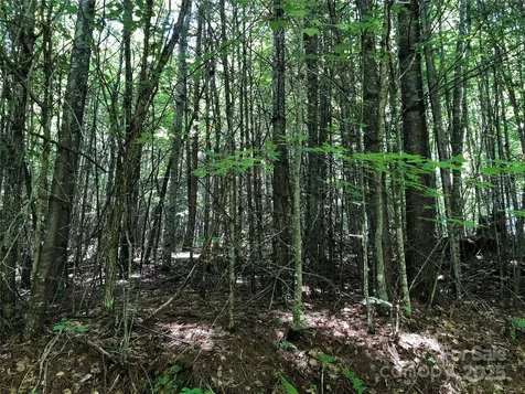 Tbd Maines Hill Lane Scottville NC 28663