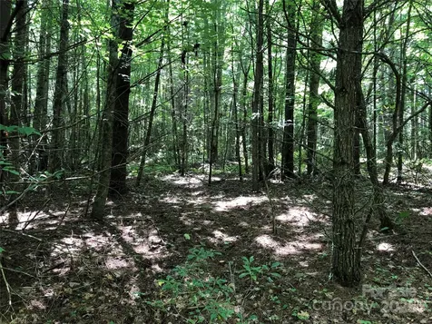 Tbd Maines Hill Lane Scottville NC 28663