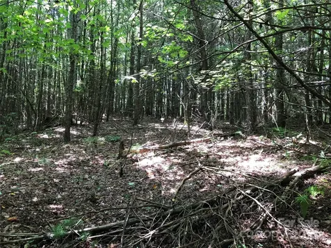 Tbd Maines Hill Lane Scottville NC 28663