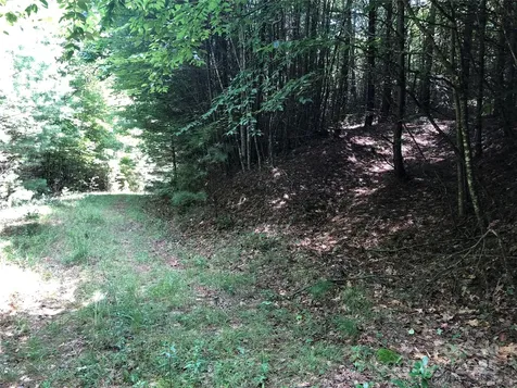 Tbd Maines Hill Lane Scottville NC 28663