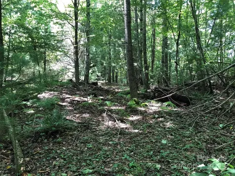 Tbd Maines Hill Lane Scottville NC 28663