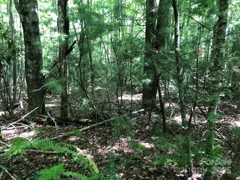 Tbd Maines Hill Lane Scottville NC 28663