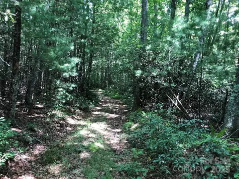 Tbd Maines Hill Lane Scottville NC 28663