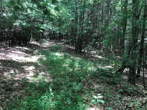 Tbd Maines Hill Lane Scottville NC 28663